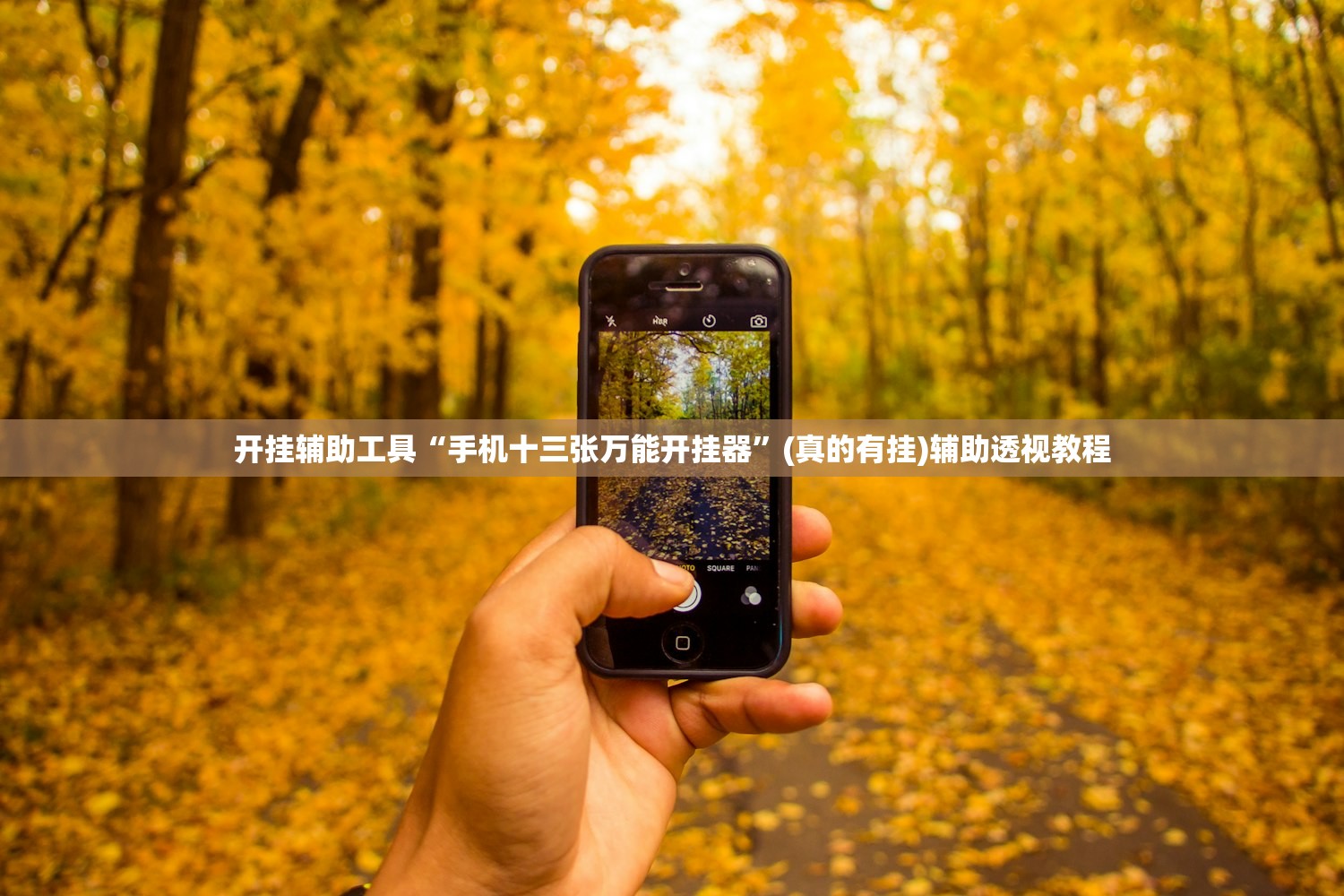 开挂辅助工具“手机十三张万能开挂器”(真的有挂)辅助透视教程